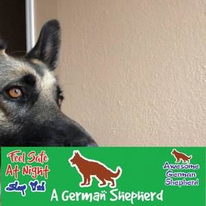 Meet your Posher, Jayden